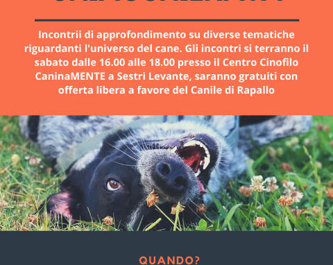 Facciamoci una Chiacchierata!