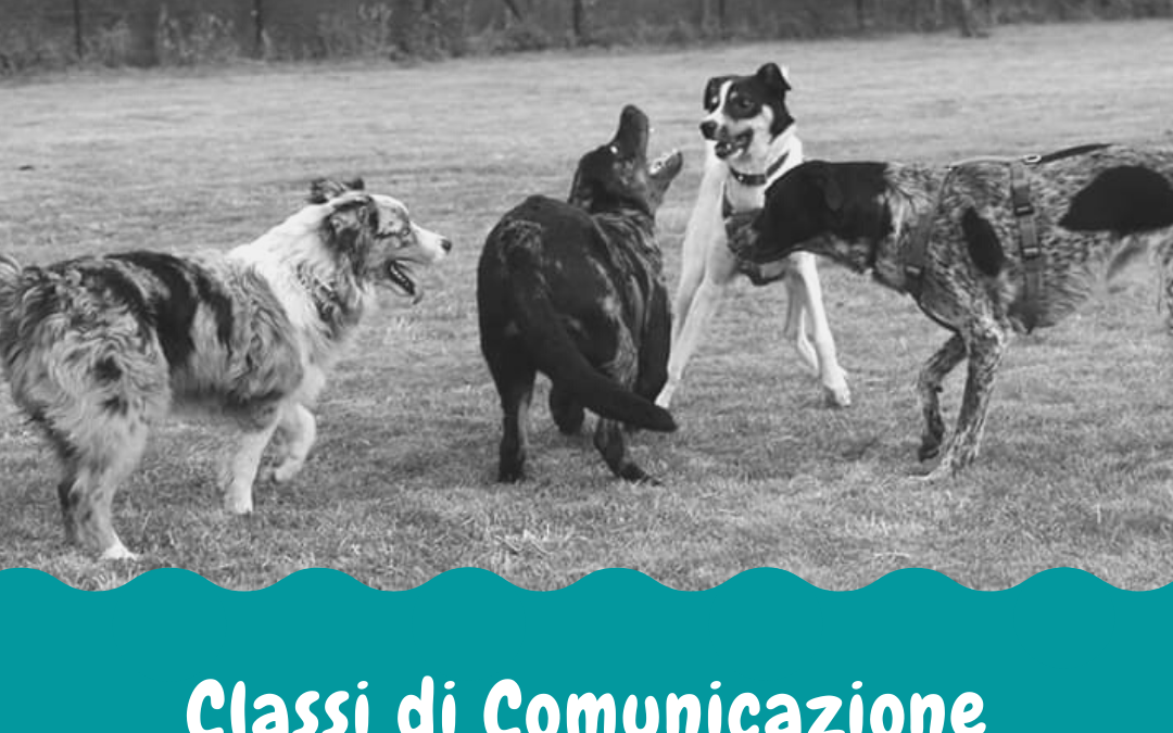 Classi di Comunicazione