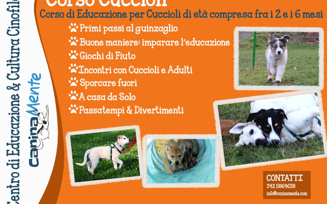 Corso Cuccioli